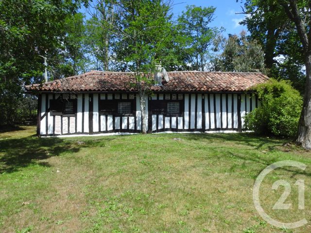 maison à vendre - 6 pièces - 213.97 m2 - ARGELOUSE - 40 - AQUITAINE - Century 21 Group Immo maison à vendre - 6 pièces - 213.97 m2 - ARGELOUSE - 40 - AQUITAINE - Century 21 Group Immo